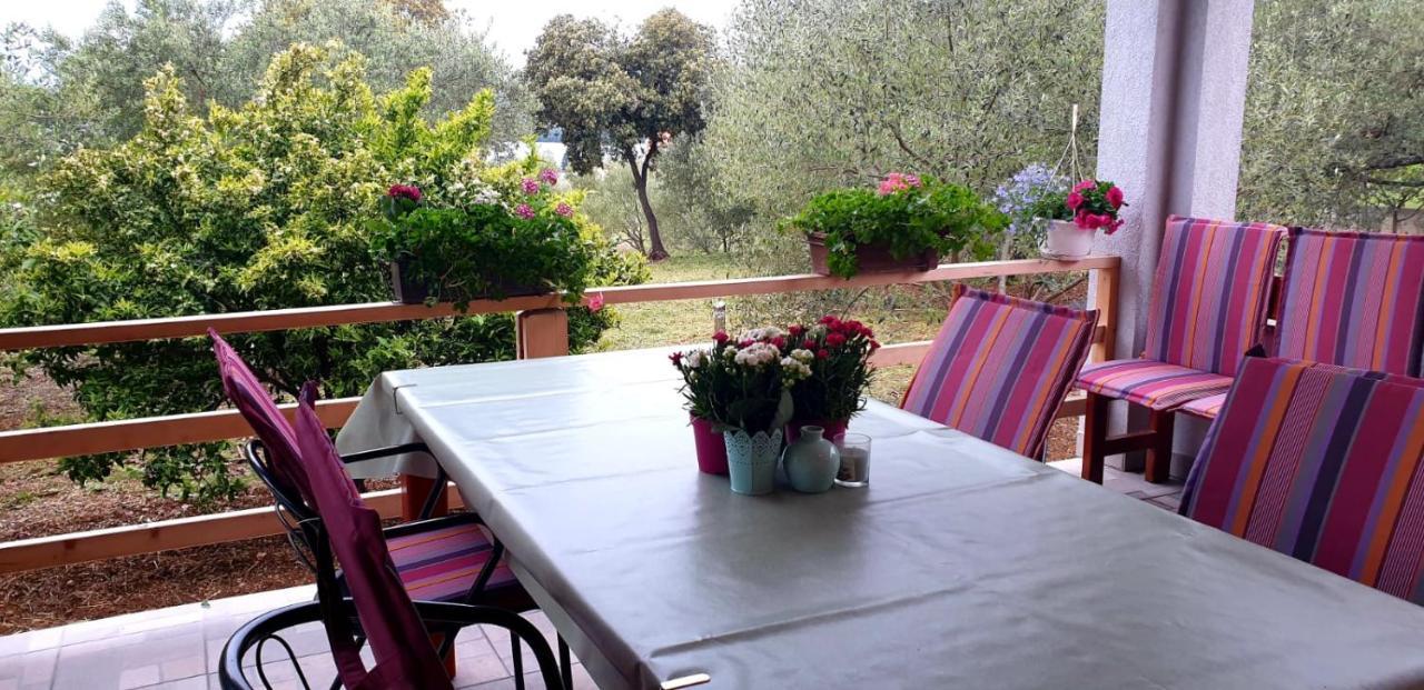 Apartman Rabatin Sveti Filip i Jakov Exterior foto